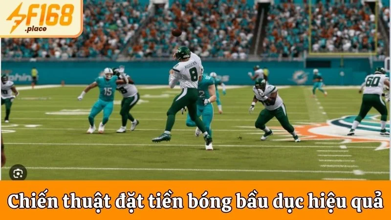 Chiến thuật đặt tiền bóng bầu dục hiệu quả cao