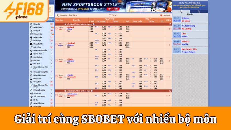 Giải trí cùng SBOBET với nhiều bộ môn thú vị