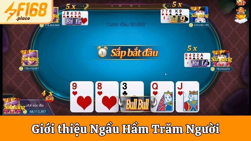 Giới thiệu Ngầu Hầm Trăm Người