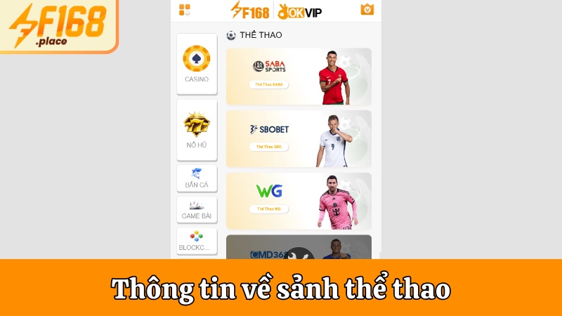 Khái quát thông tin về sảnh thể thao tại trang web