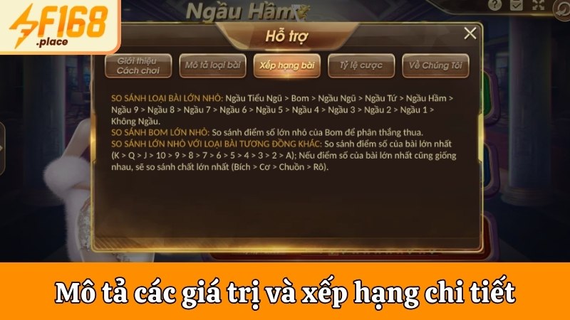 Mô tả các giá trị và xếp hạng chi tiết