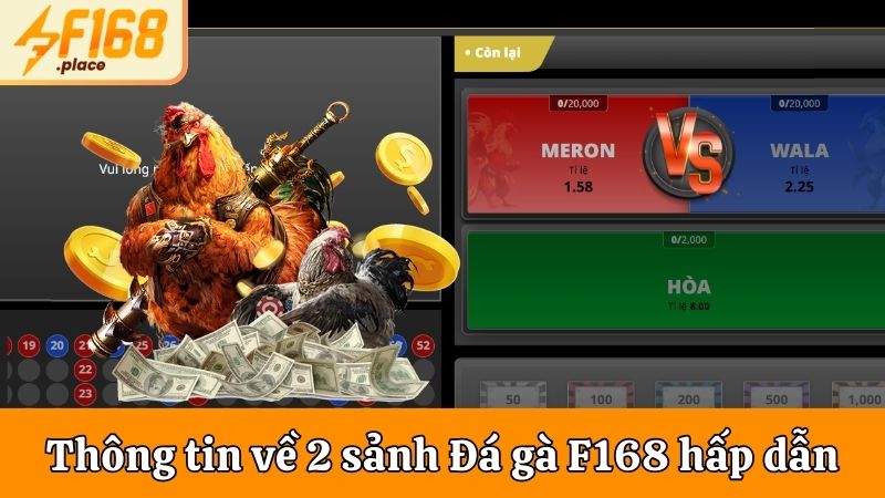 Sảnh cược làm nên sức hút của Đá gà tại nhà cái